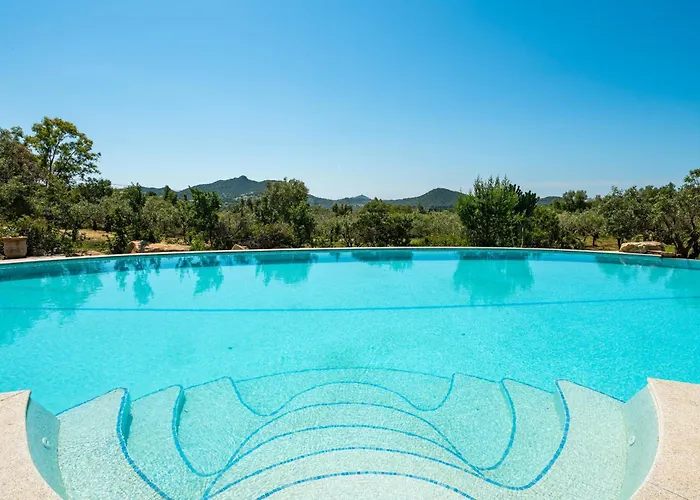 Harmonia וילסימיוס